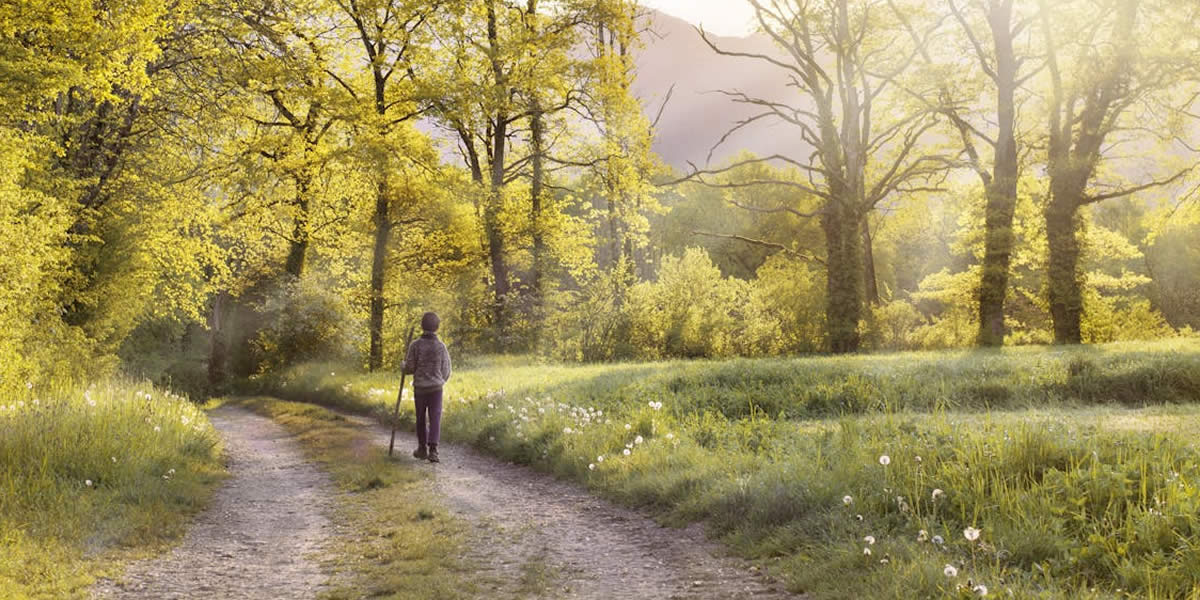 Mindful walking